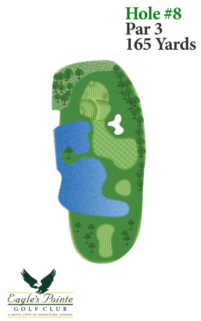Overview of hole 8